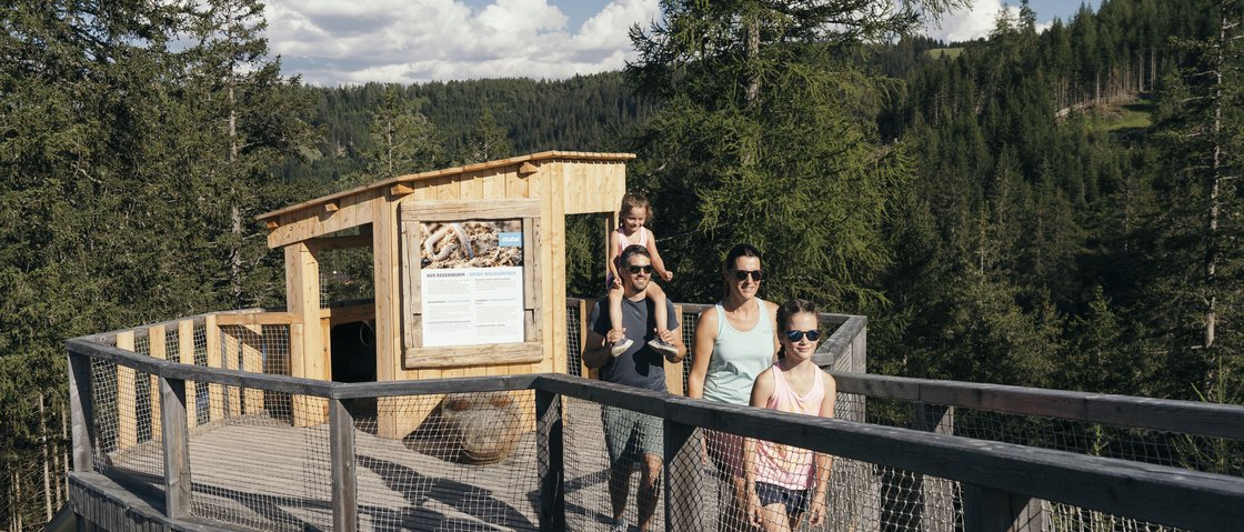 Ihr Familienhotel in Neustift im Stubaital Familie mit zwei Kindern läuft auf Holzsteg in Wald mit Bergen im Hintergrund