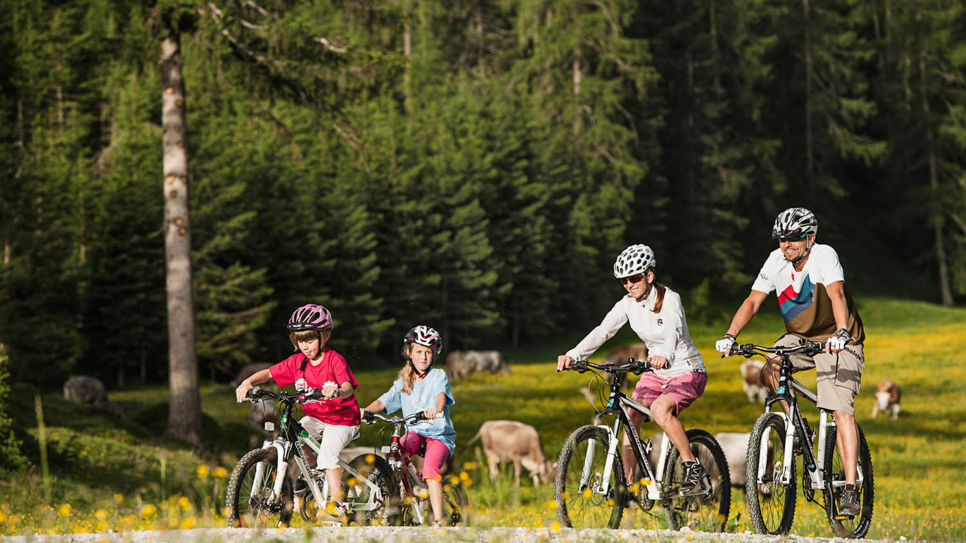 Radelspaß im Bike-Hotel in Tirol Familie fährt mit Mountainbikes auf einem Feldweg in einer grünen Landschaft mit Kühen